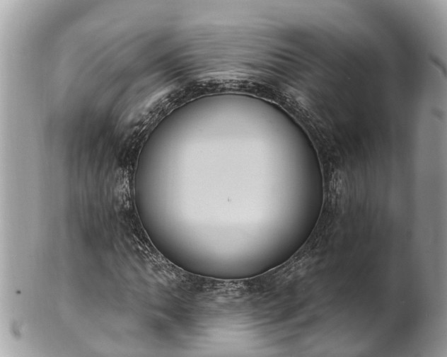 X0000101231062200807071406