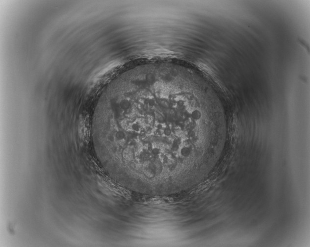 X0000101231063200807071406