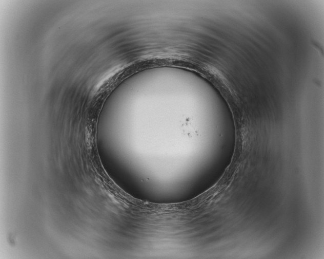 X0000101231064200807071406