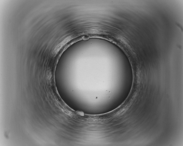 X0000101231065200807071406