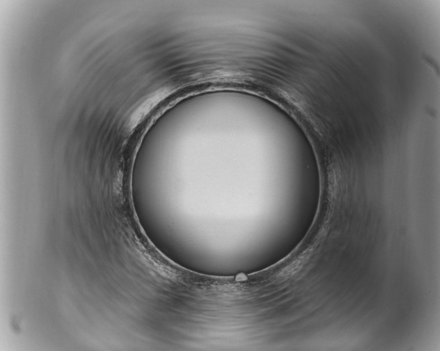 X0000101231066200807071406