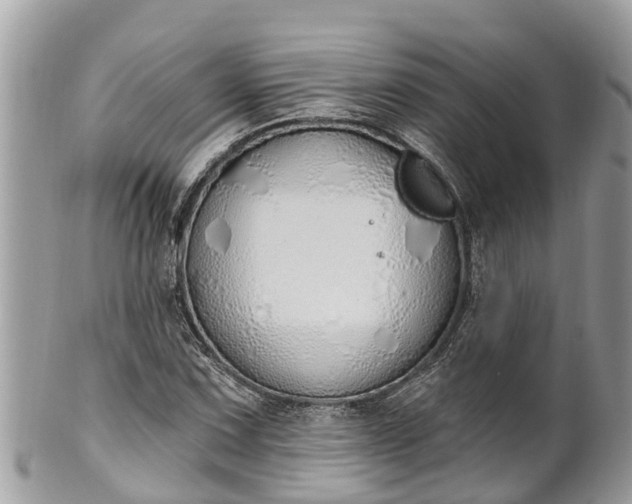 X0000101231067200807071406