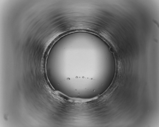 X0000101231068200807071406