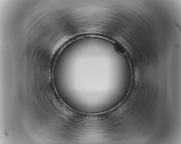 X0000101231069200807071406