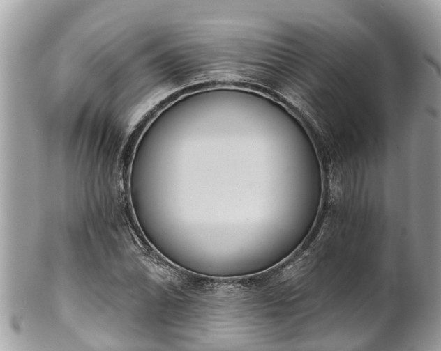 X0000101231070200807071406