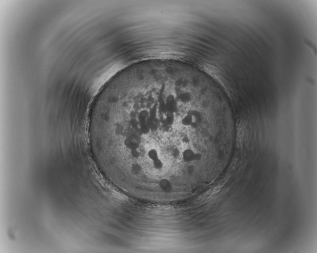 X0000101231071200807071406