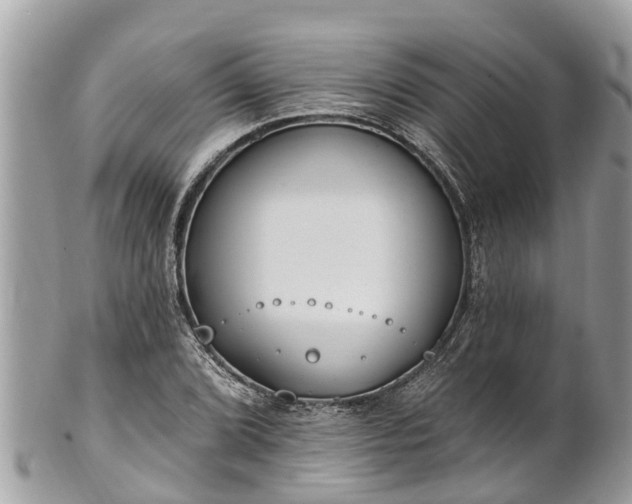 X0000101231072200807071406