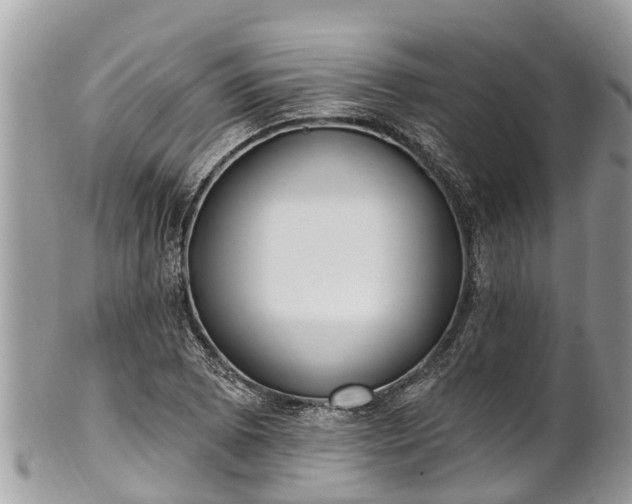 X0000101231073200807071406