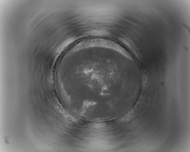 X0000101231074200807071406