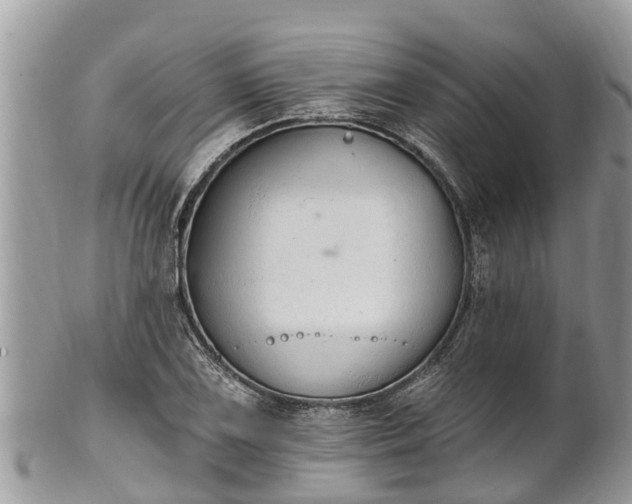 X0000101231075200807071406