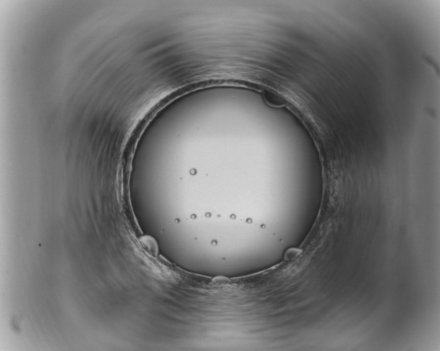 X0000101231076200807071406