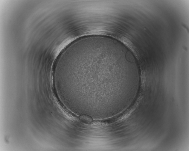 X0000101231077200807071406