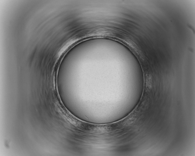 X0000101231078200807071406