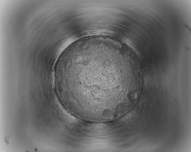 X0000101231079200807071406