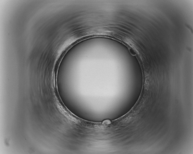 X0000101231080200807071406