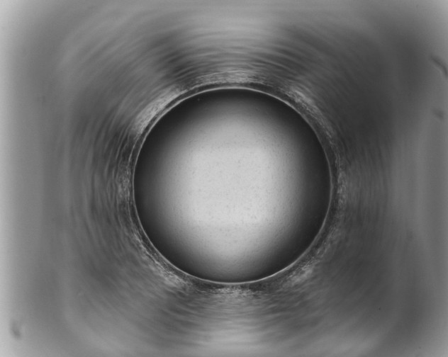 X0000101231081200807071406