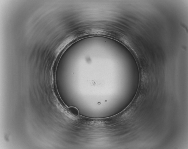 X0000101231082200807071406