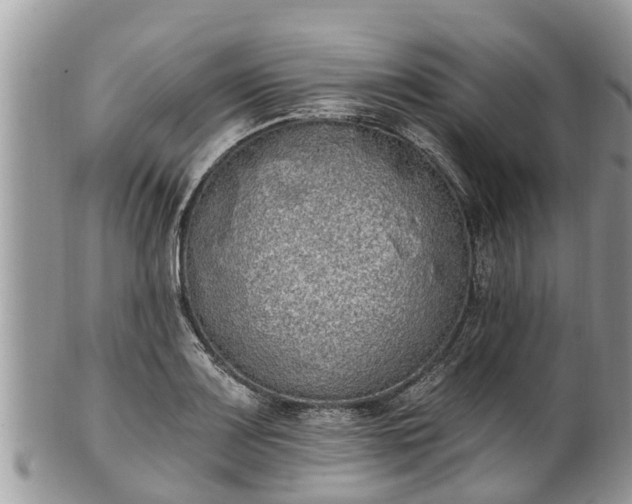 X0000101231083200807071406