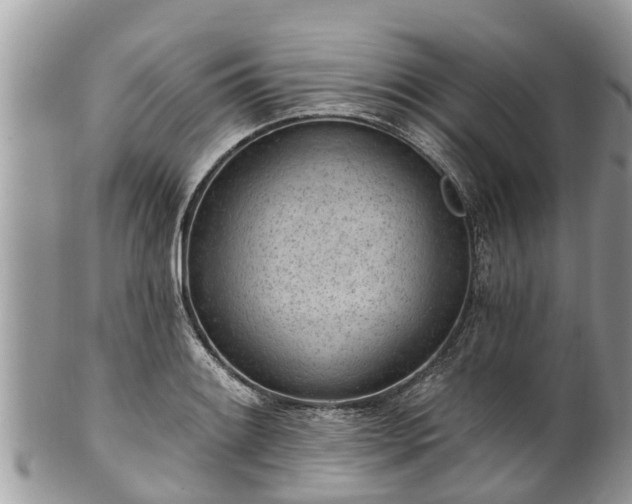 X0000101231084200807071406