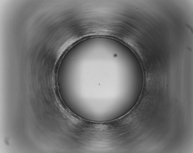 X0000101231085200807071406