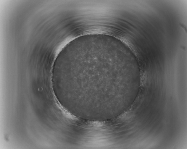 X0000101231086200807071406