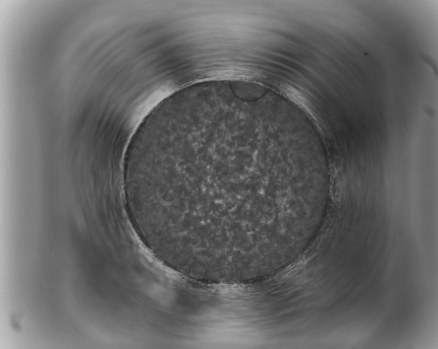 X0000101231087200807071406