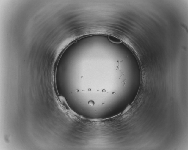 X0000101231088200807071406