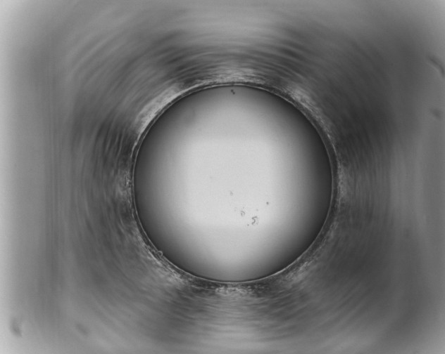 X0000101231089200807071406