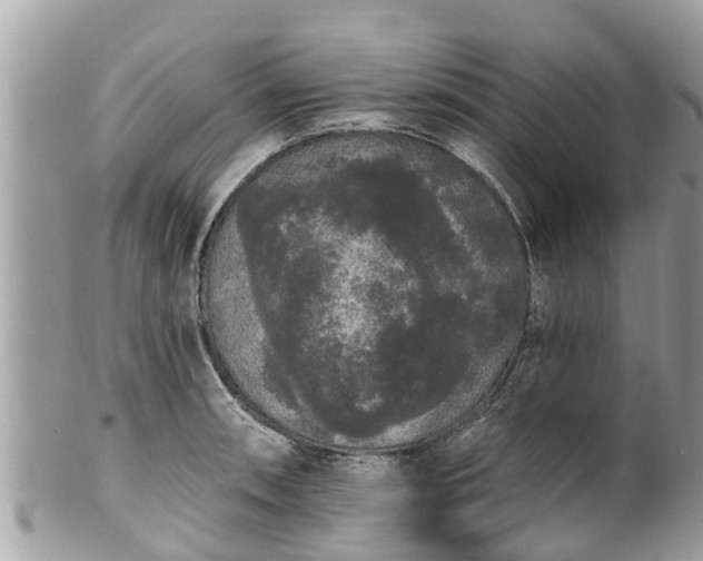 X0000101231090200807071406