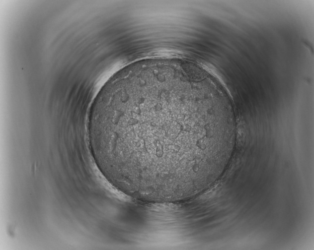 X0000101231091200807071406