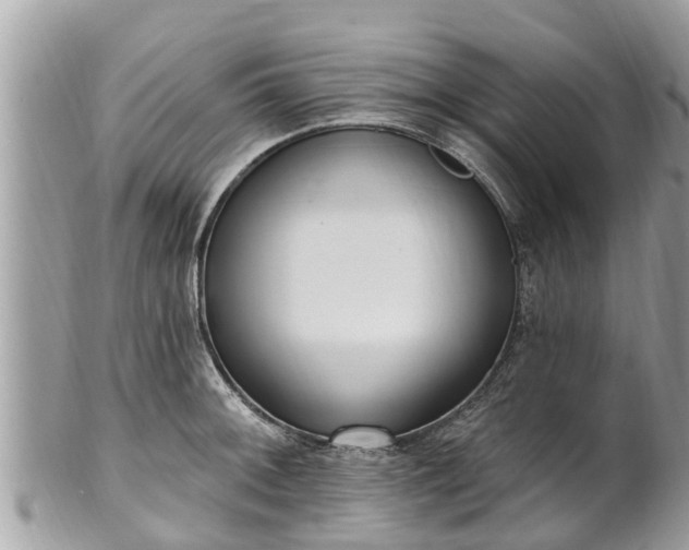 X0000101231092200807071406