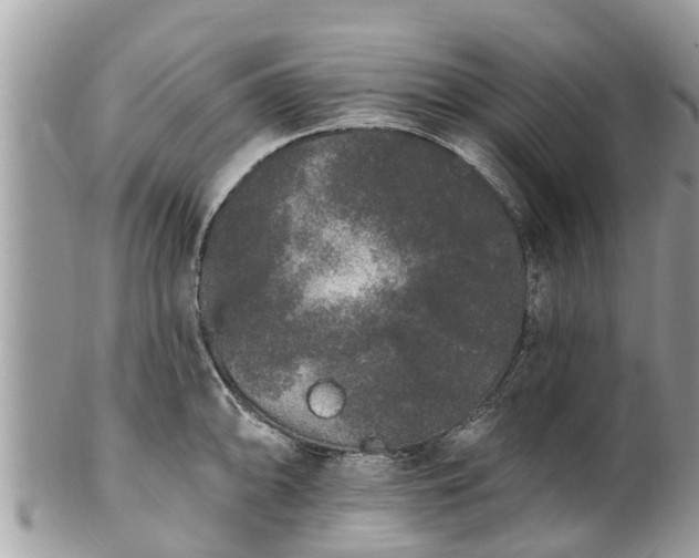 X0000101231094200807071406