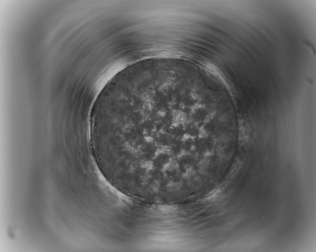 X0000101231095200807071406