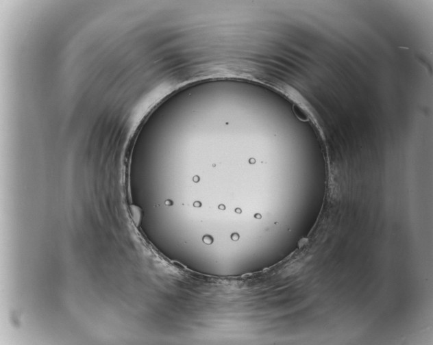 X0000101231096200807071406