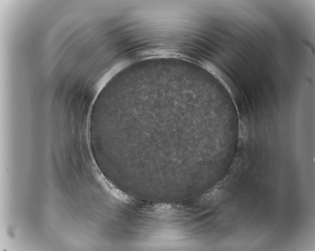 X0000101231098200807071405