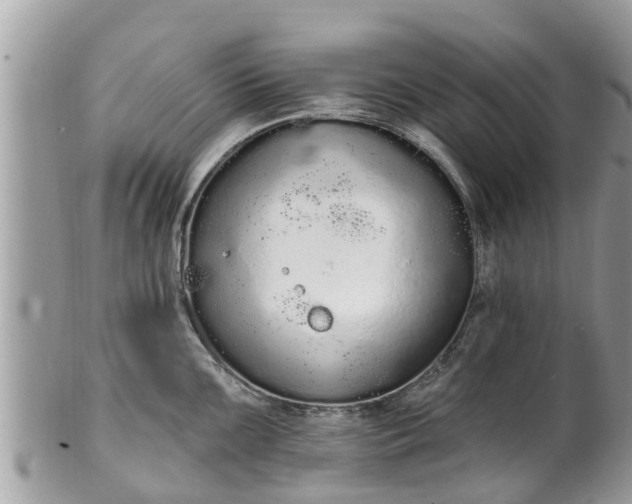 X0000101231099200807071405