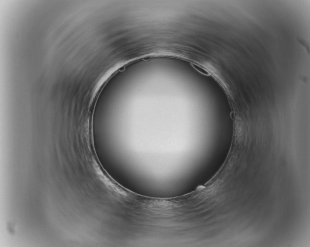 X0000101231100200807071405