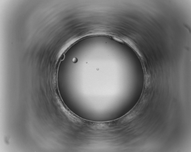 X0000101231101200807071405