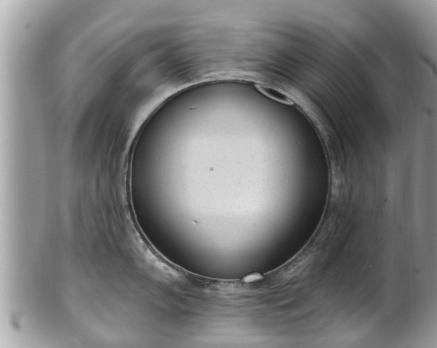 X0000101231102200807071405