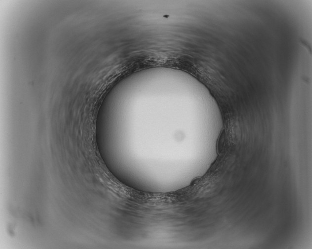 X0000101231105200807071405