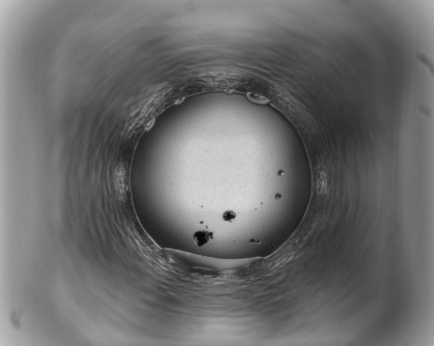 X0000101231108200807071405