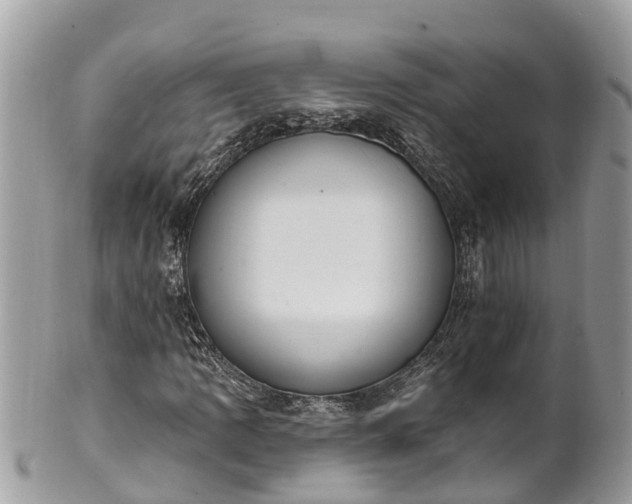 X0000101231109200807071405