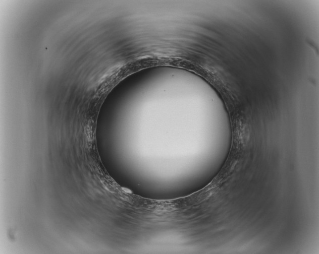 X0000101231110200807071405