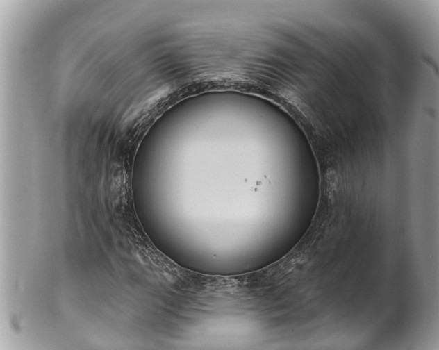 X0000101231111200807071405