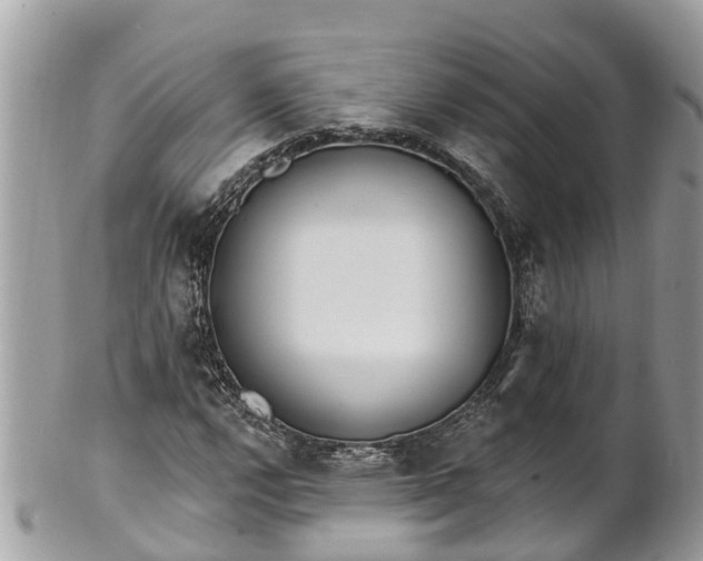 X0000101231112200807071405