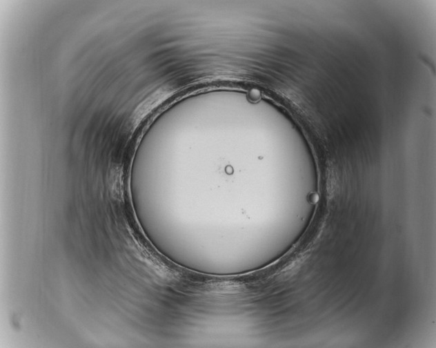 X0000101231113200807071405