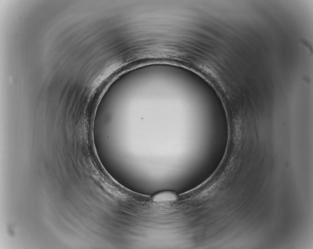 X0000101231114200807071405