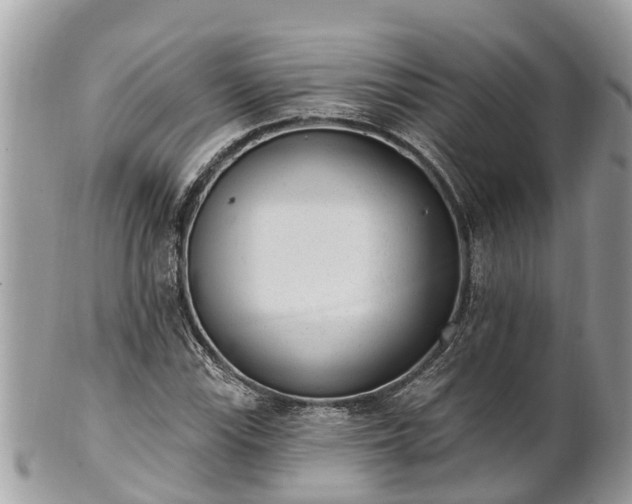 X0000101231115200807071405