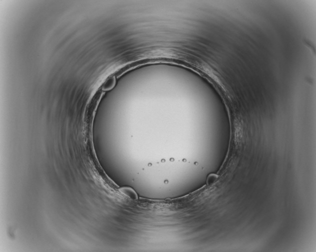 X0000101231116200807071405