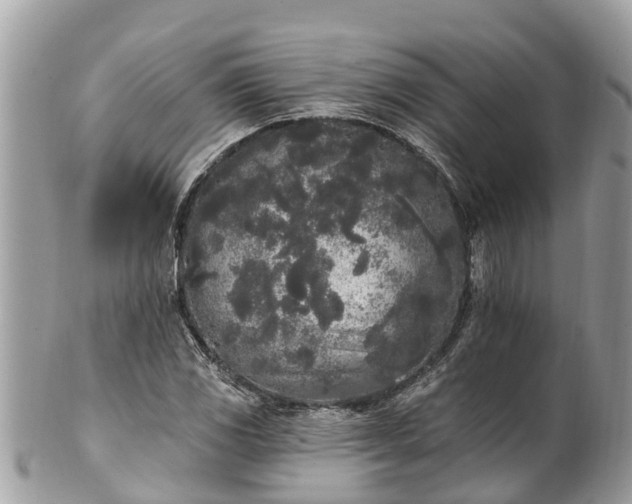 X0000101231117200807071405